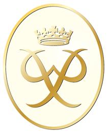 Gold Award Badge 2008